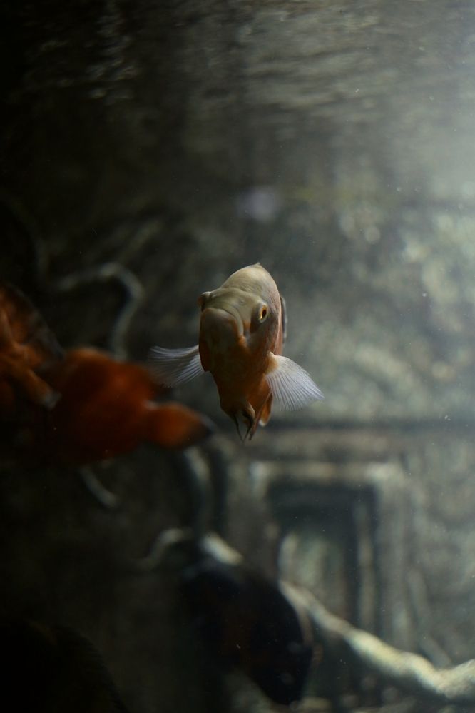 Photograph by Olga Pavich