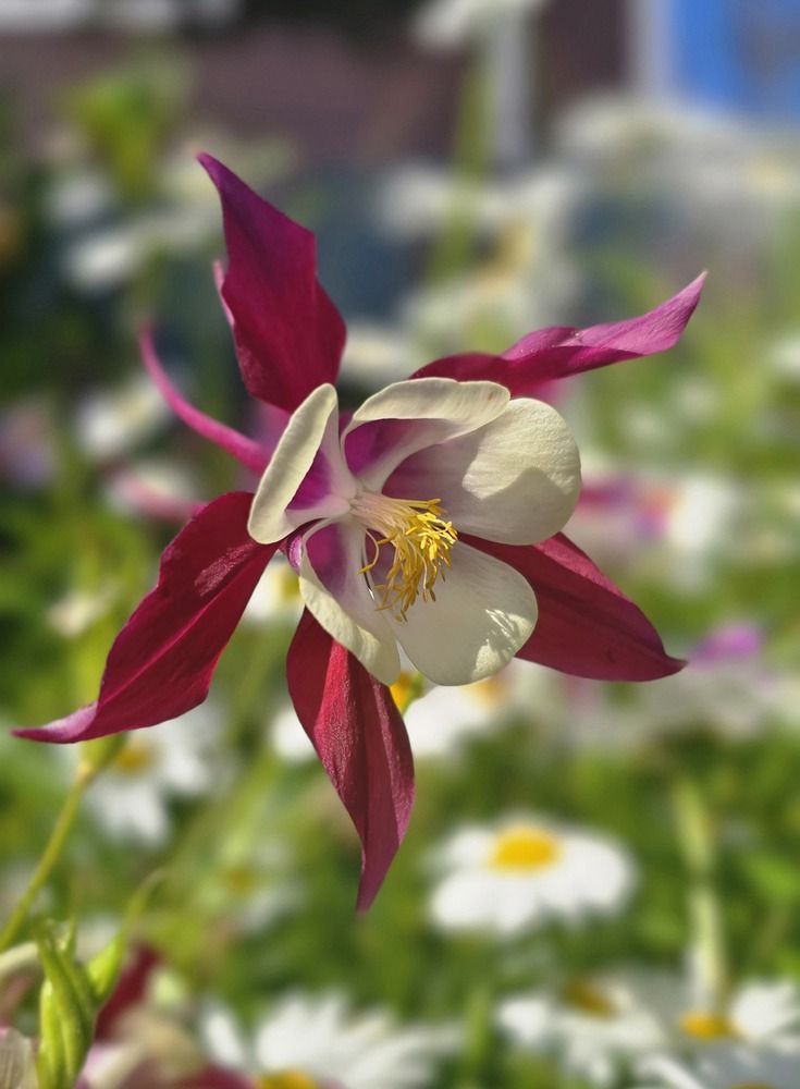 Photograph by Лариса Ким