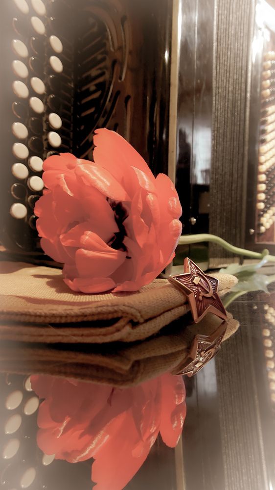 Фотография автора Elena Ku