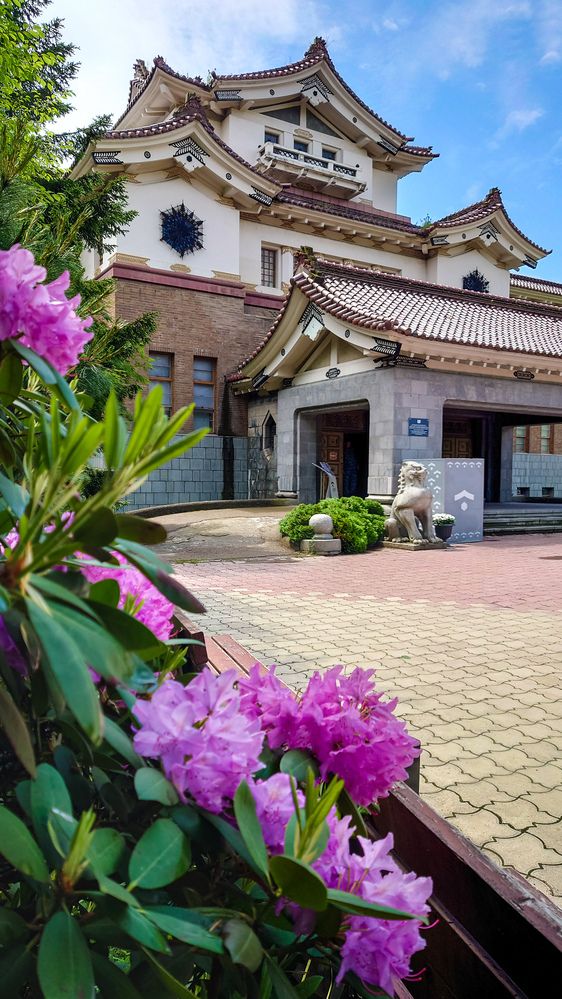 Фотография автора Elena Ku