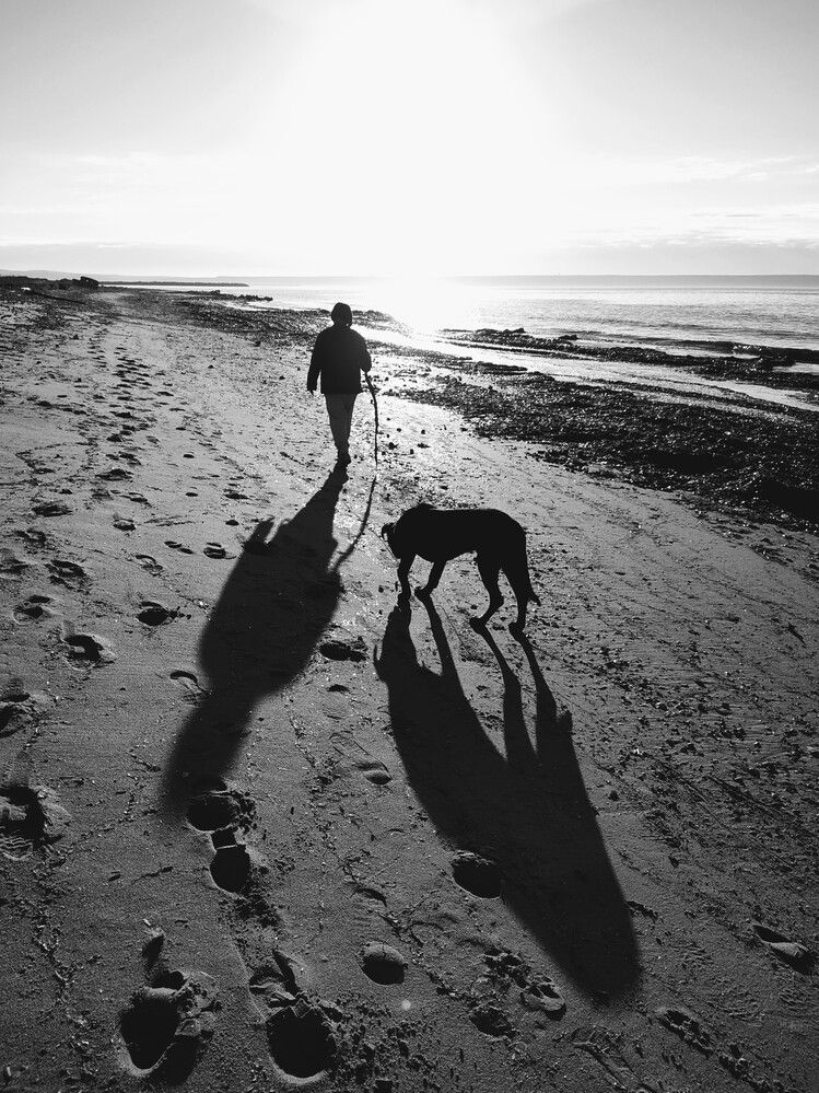 Фотография автора Наталья Елисеева