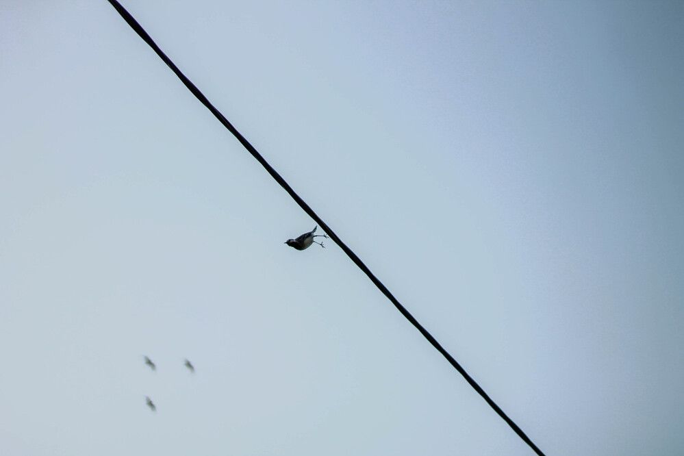 Photograph by Любовь Иванова