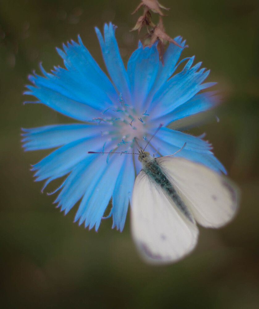 Photograph by Любовь Иванова