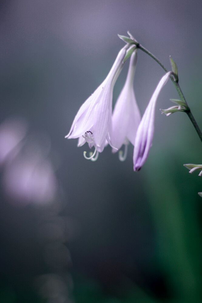 Photograph by Любовь Иванова