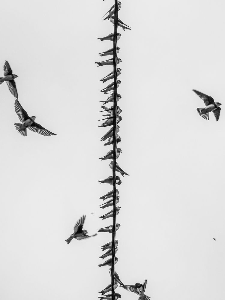 Photograph by Vlad S.
