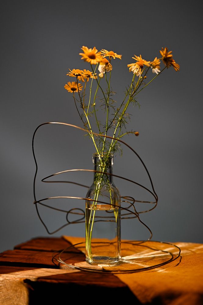 Controlling relationships