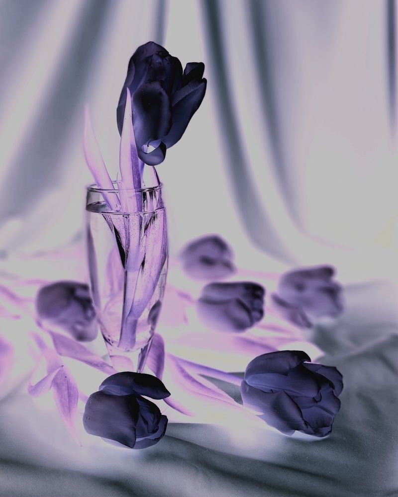 Photograph by Светлана Станевич