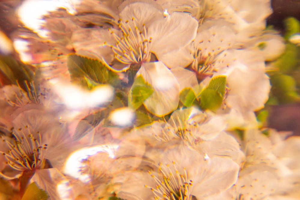 Photograph by Дина Переверзева
