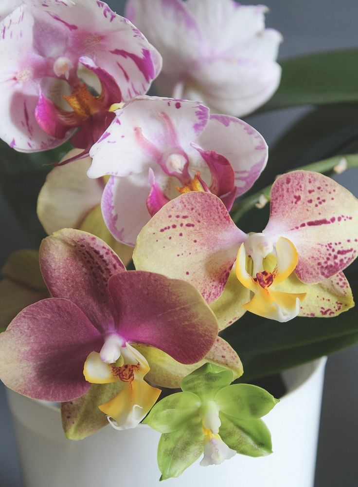 Photograph by Татьяна Смирнова