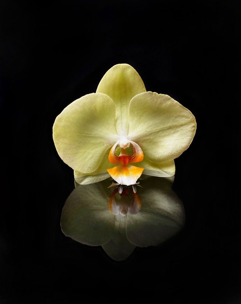 Photograph by Татьяна Смирнова