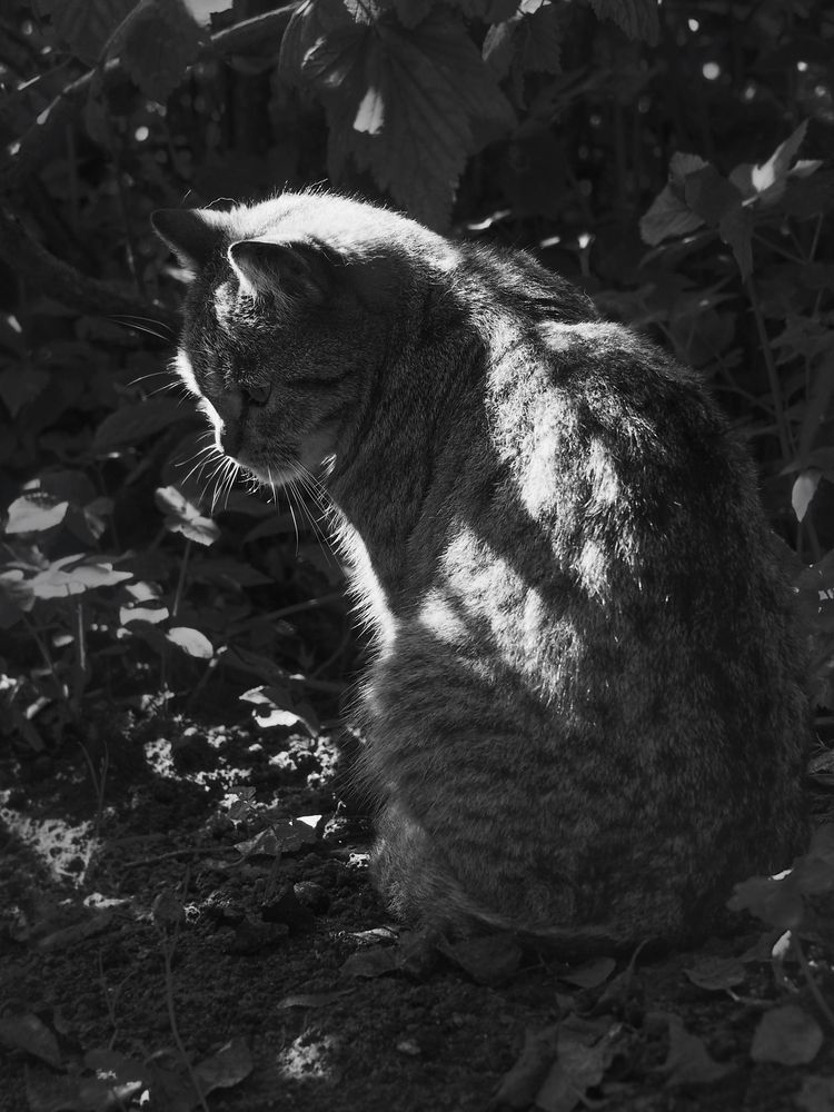 Photograph by Марианна Браун