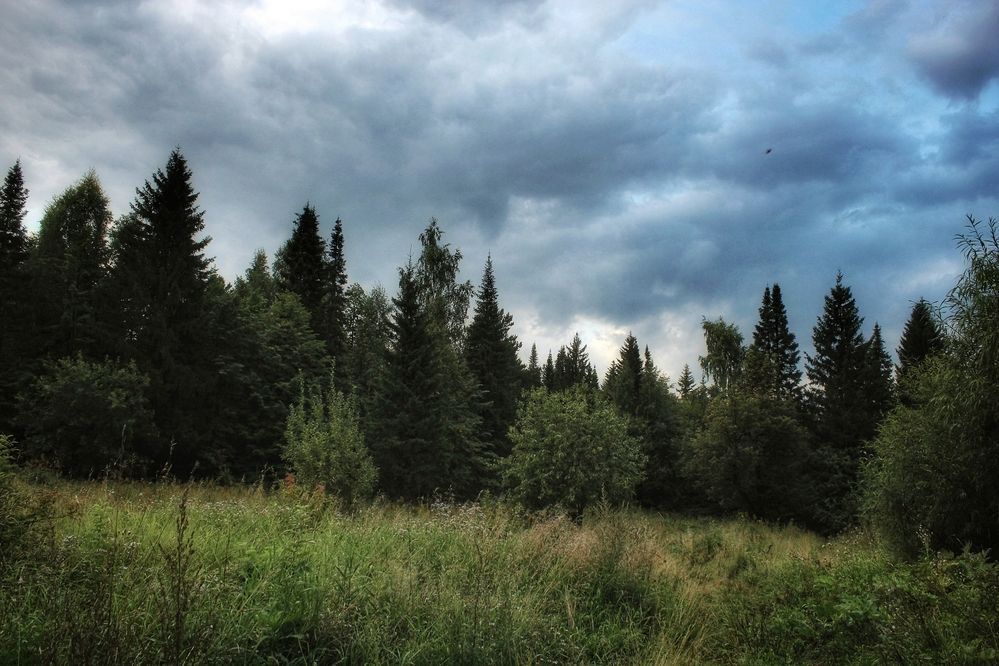 Трехскалка