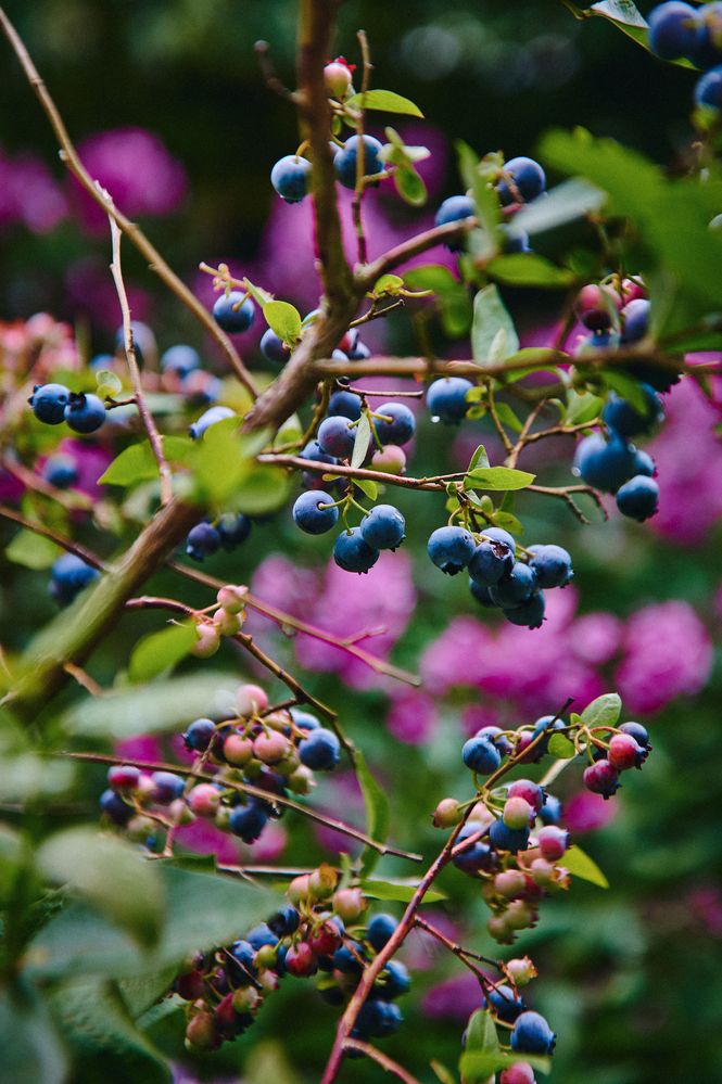 Фотография автора Александр Жданов