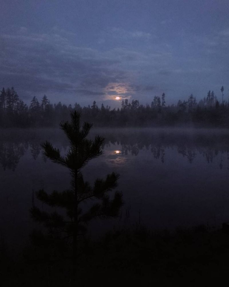 Photograph by Татьяна Иванеева