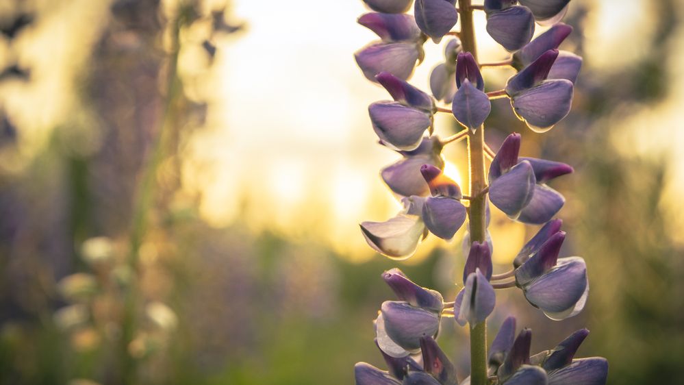 Photograph by Владислав Циклинский