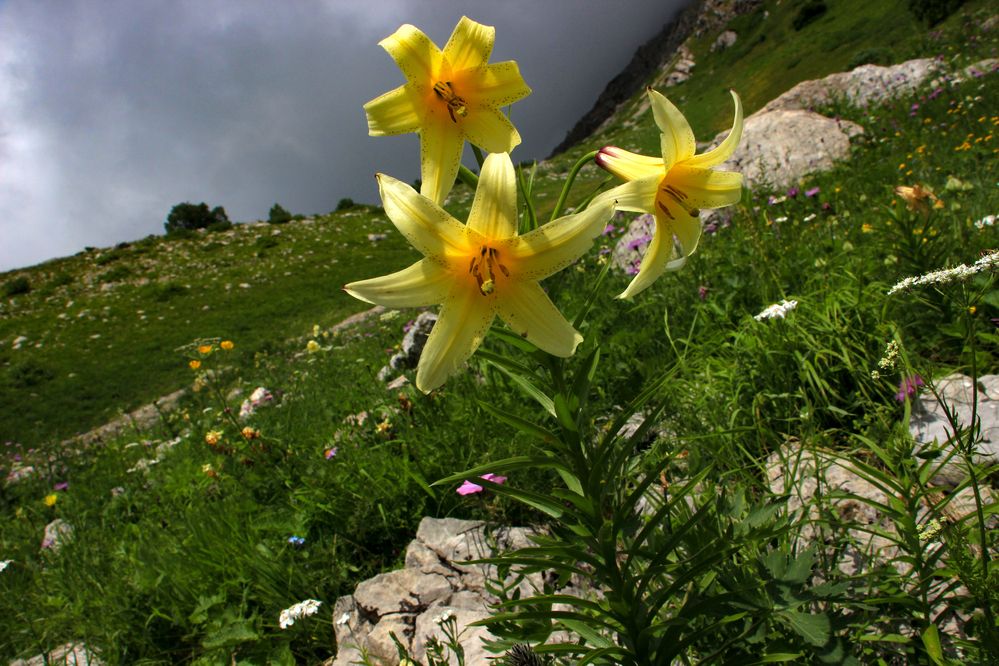 Фотография автора Татьяна Сергиенко