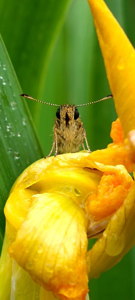 Photograph by Nаtaliia Zolotova