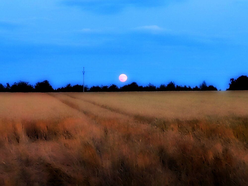 Photograph by Arkadij Frejdlin