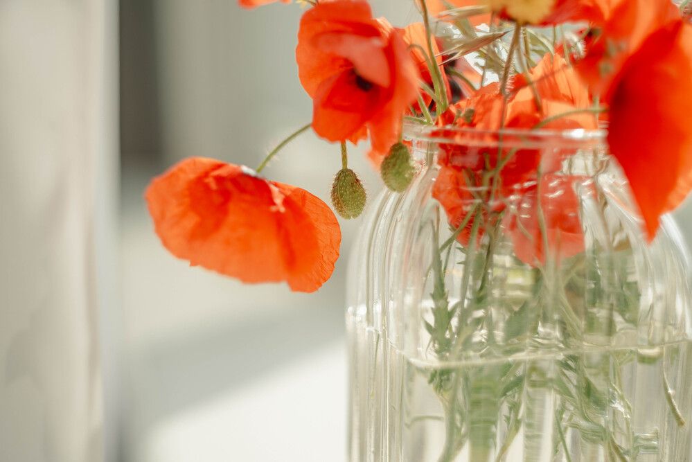 Photograph by Ольга Солодилова