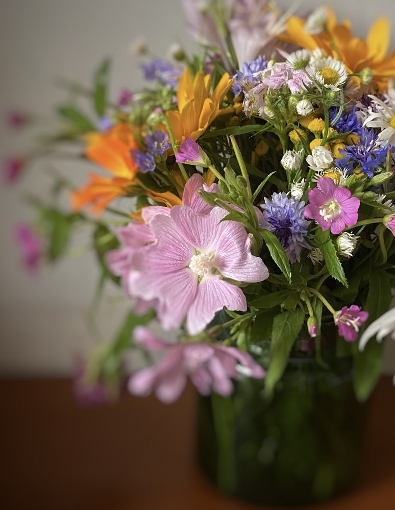 Photograph by Наталья Тарабычина