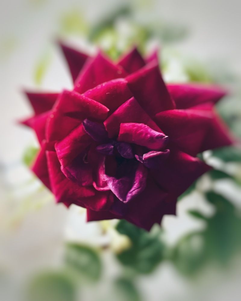 Photograph by Наталья Тарабычина