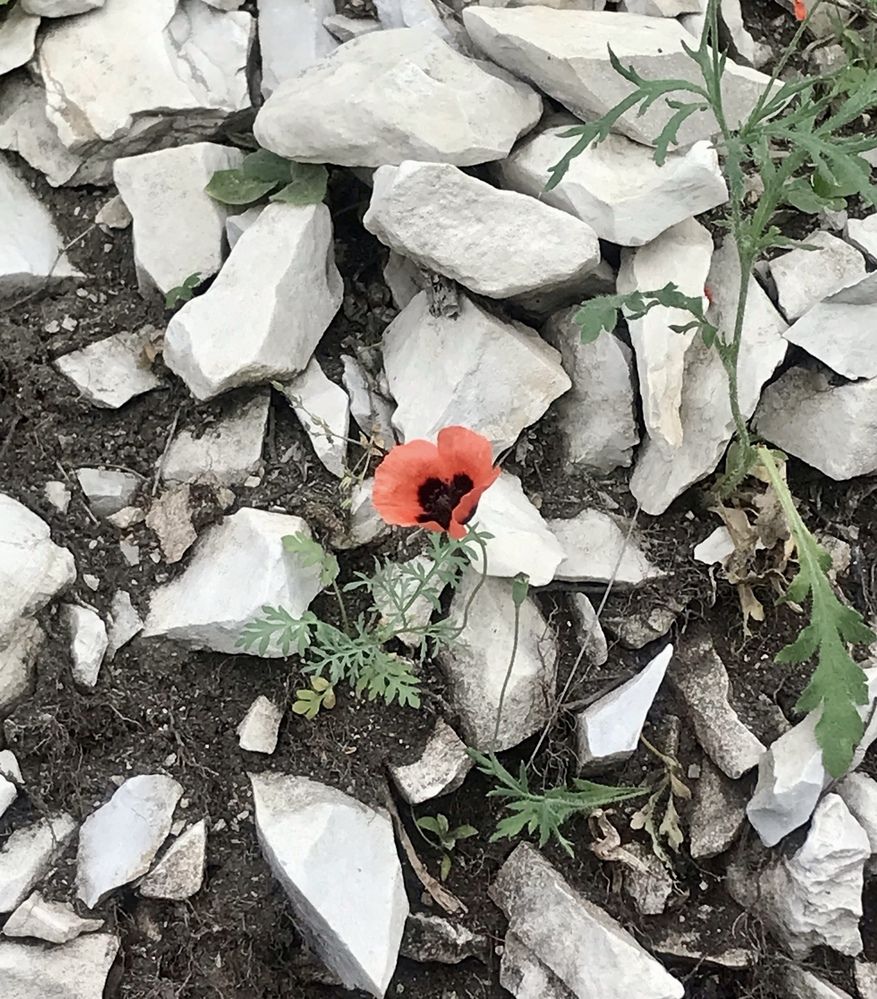 Photograph by Наталья Тарабычина