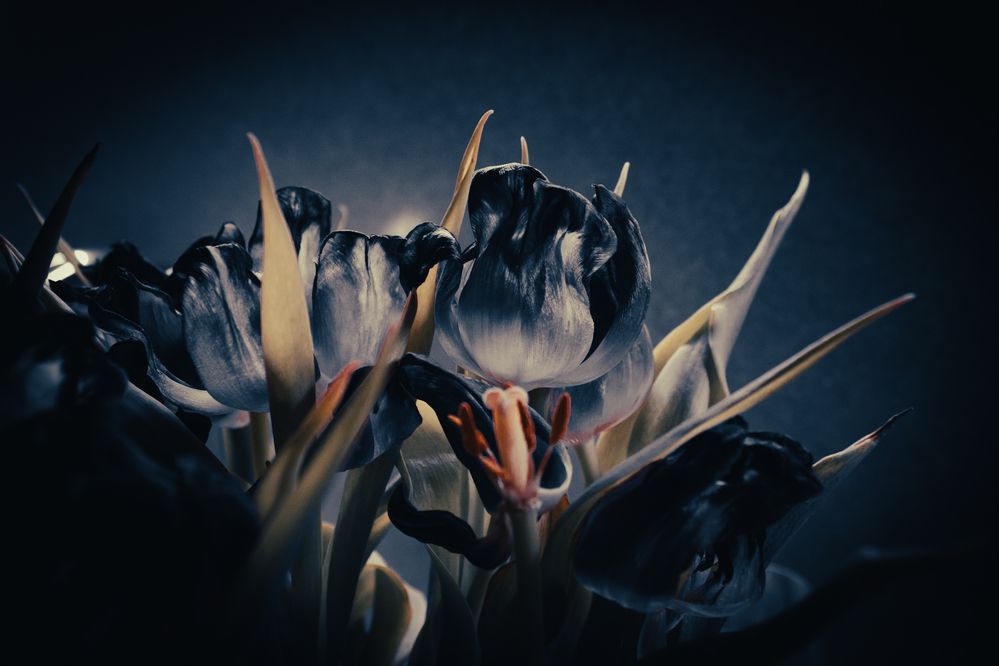 Photograph by Сергей Бойко