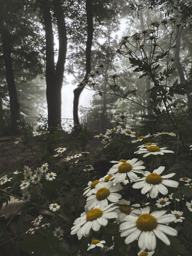 Photograph by Татьяна Цапкова