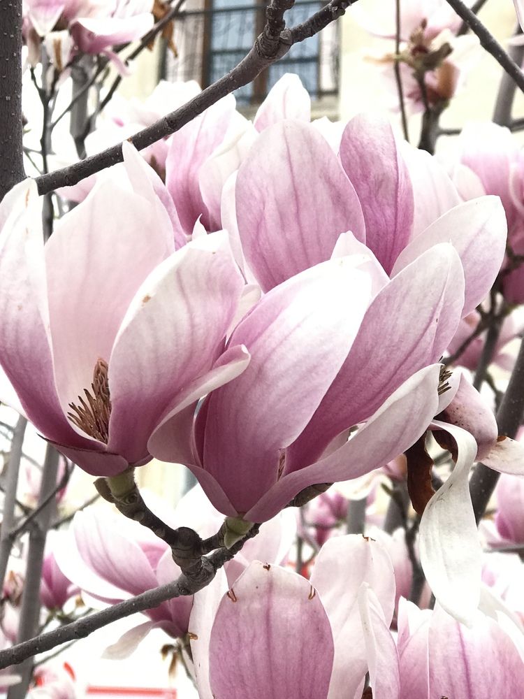 Photograph by Ольга Солодилова