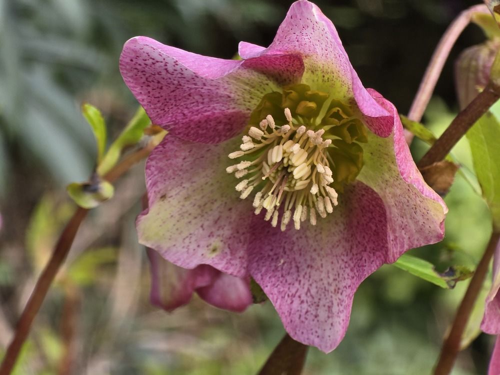 Photograph by Ekaterina Kozlova