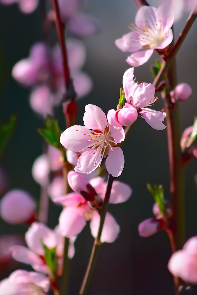 Photograph by Александр Слепцов