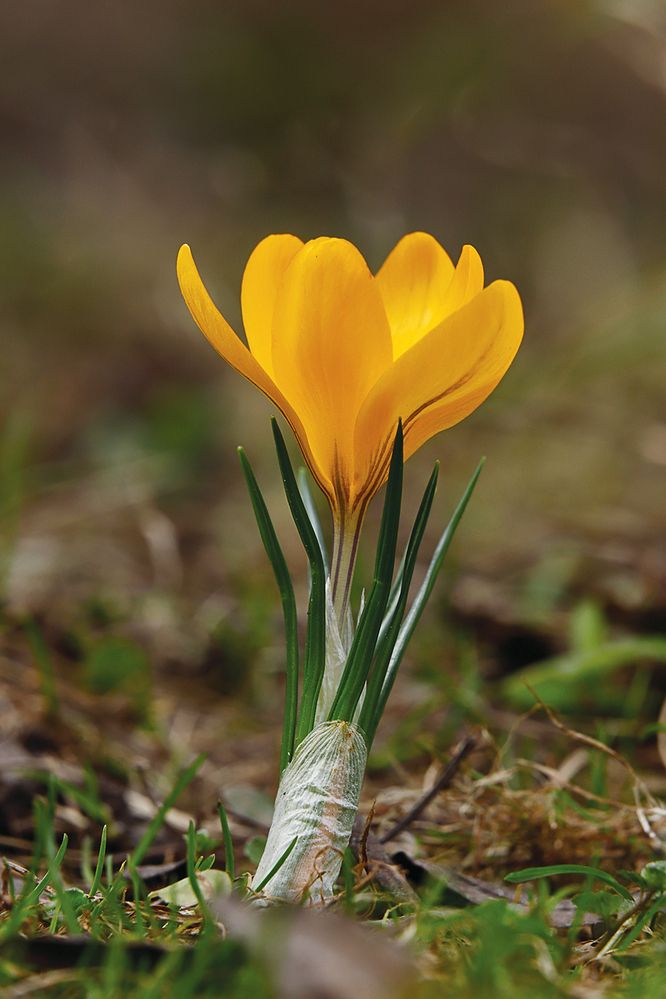 Photograph by Антон Леонов