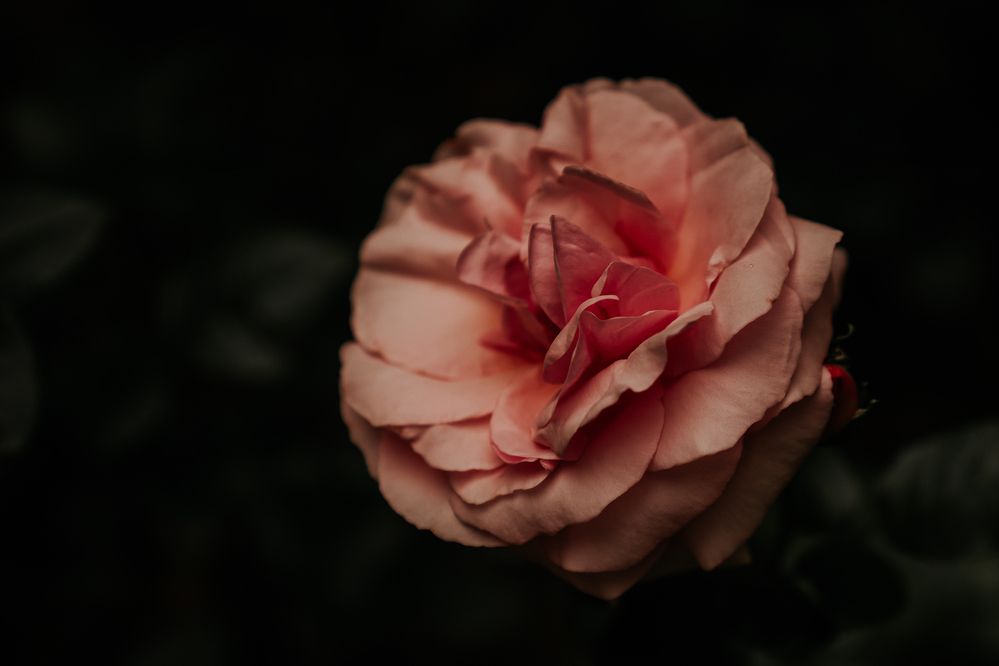 Photograph by Натали Захарова (Тай)