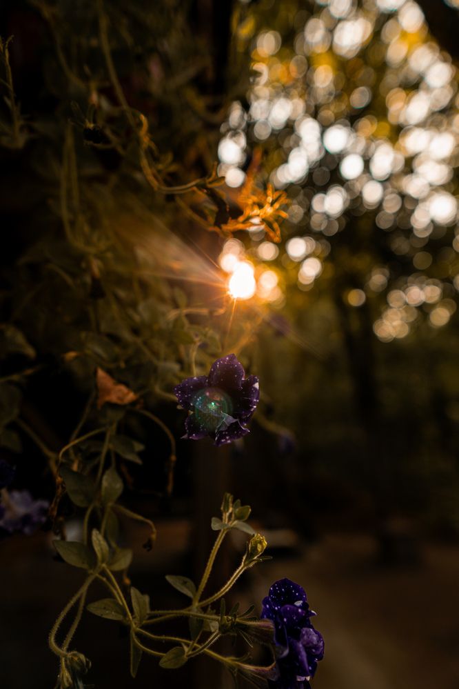 Photograph by Diony Alexander Sánchez Estevez