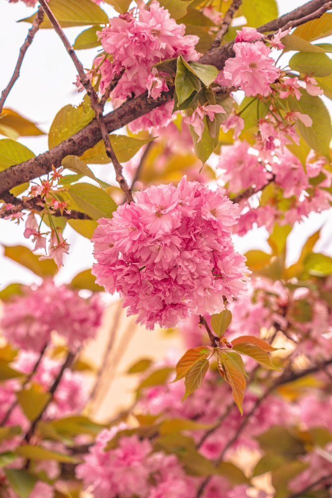 Photograph by Diony Alexander Sánchez Estevez