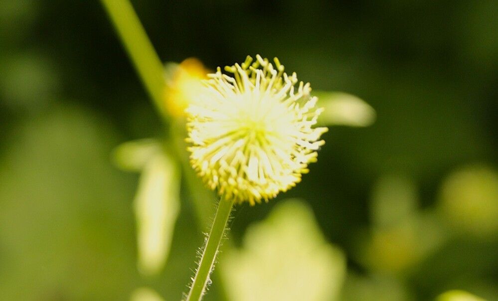 Photograph by Николай Горбачёв