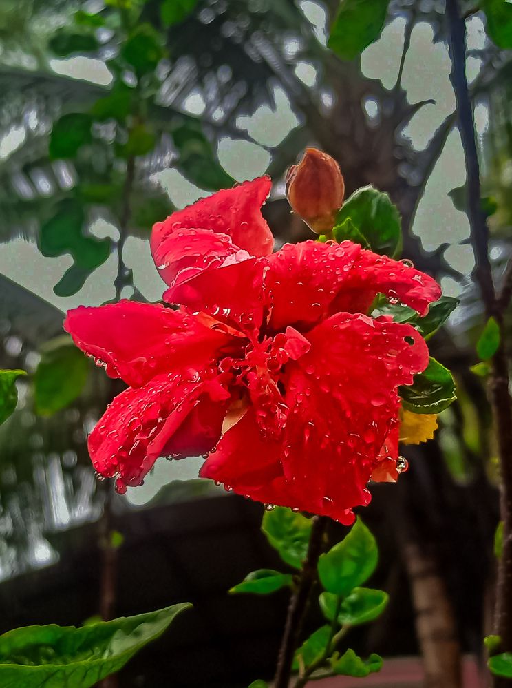 Photograph by SHRIYAKSHI