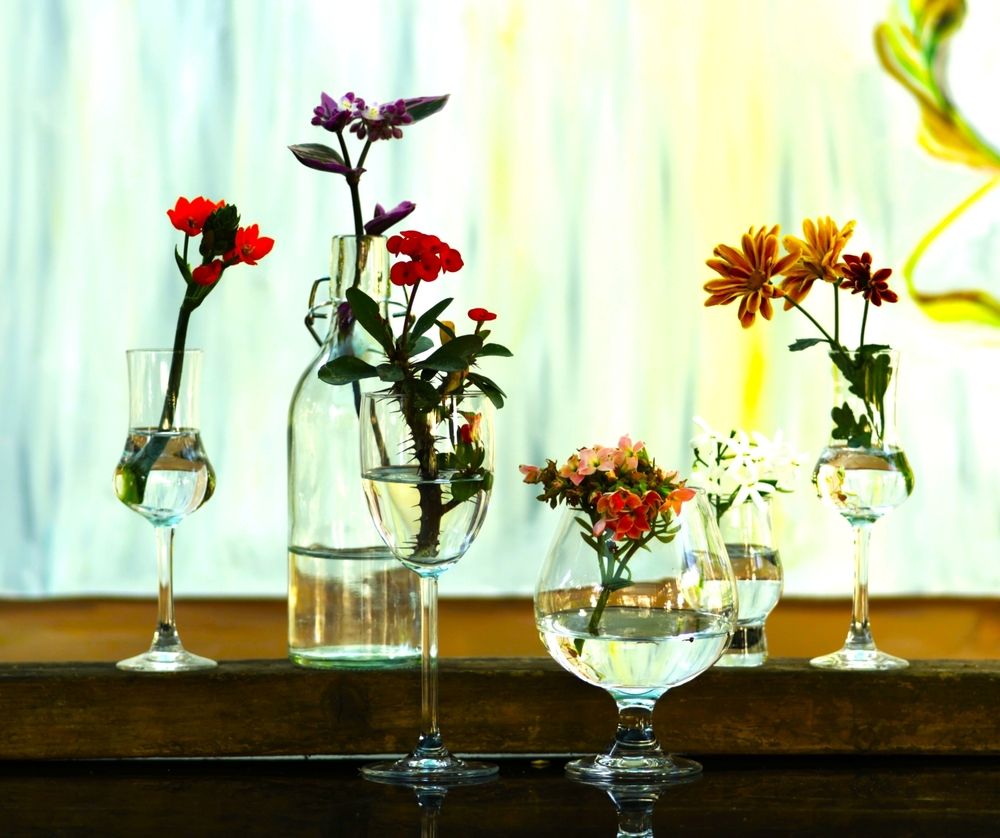 Photograph by Merav Zuberman Perkal