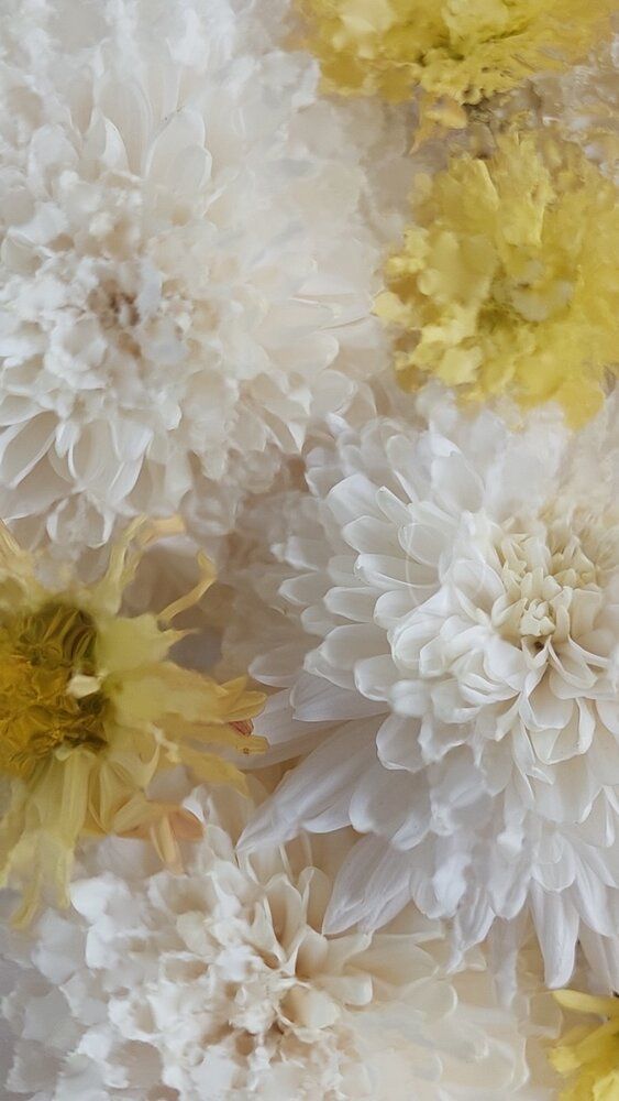 Photograph by Svitlana Usatenko