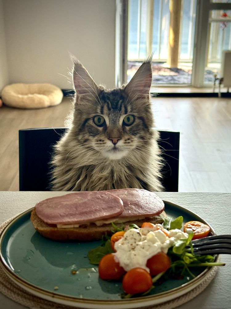 Photograph by Олег Леонтьев