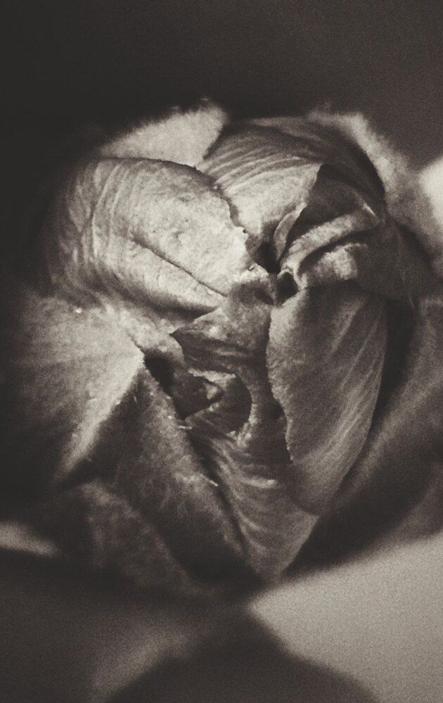 Photograph by Ирина Лукашова