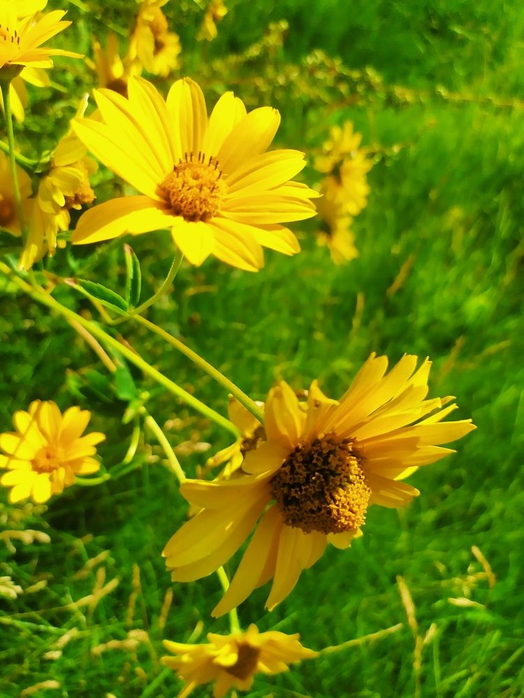 Photograph by Olena Chertous