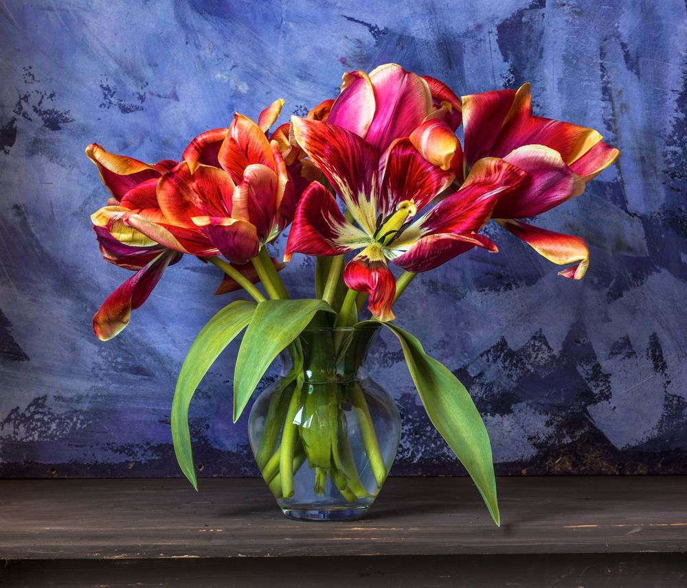 Photograph by Алексеев Сергей