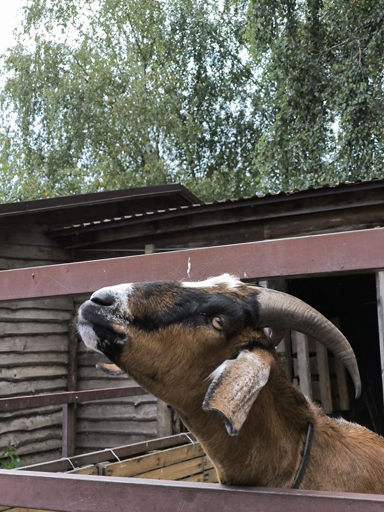 Photograph by Татьяна Яцкевич