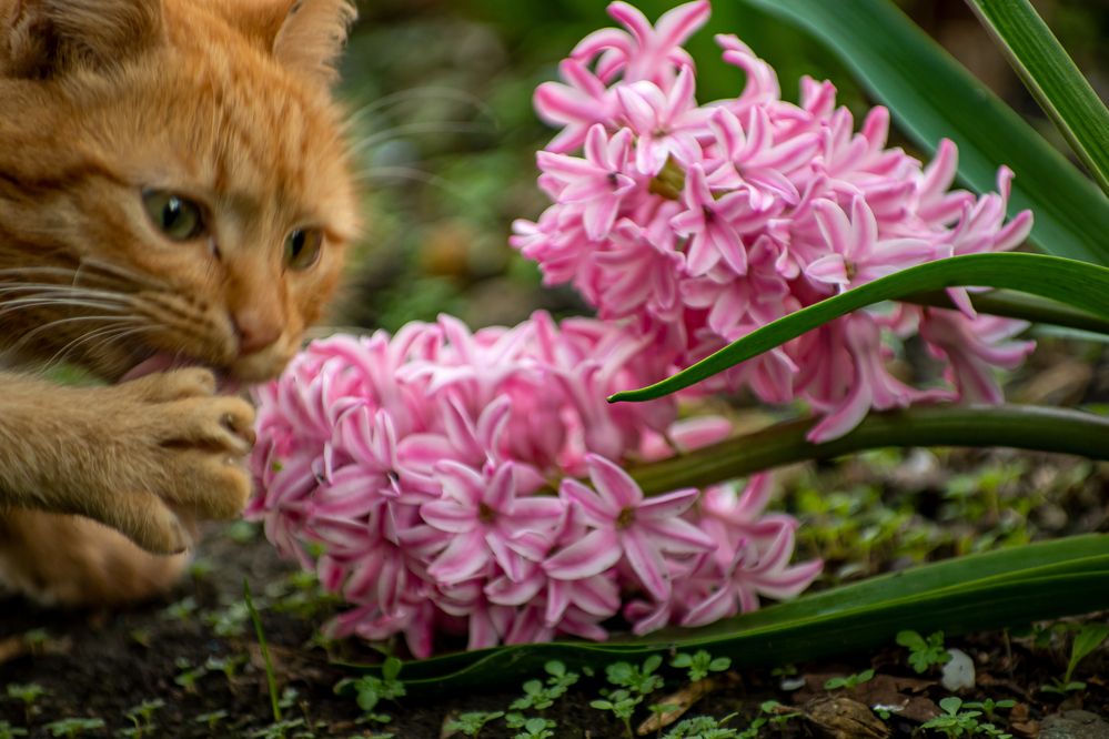 Photograph by Галина Григорьева