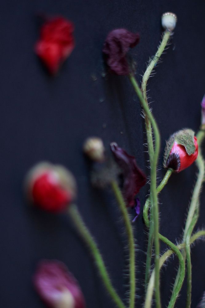 Photograph by Нелли