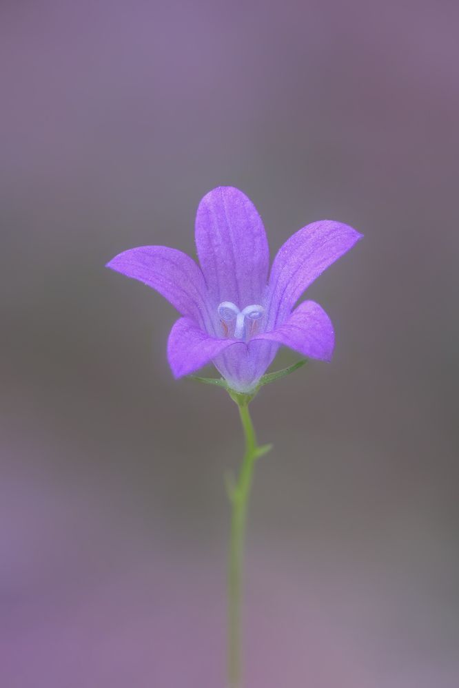 Фотография автора Stanislav Yendrek