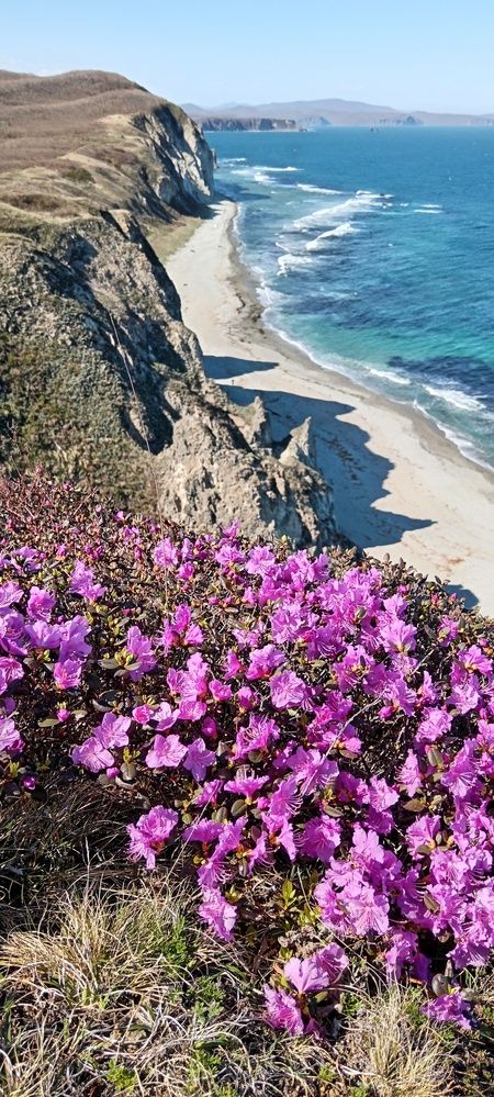 Photograph by Юлия Лихачева