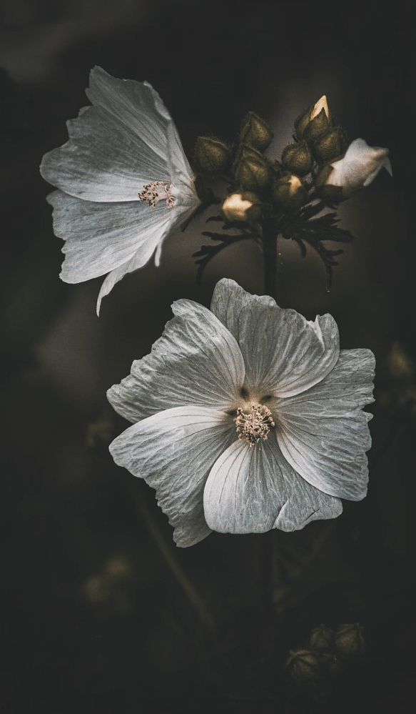 Photograph by Юлия