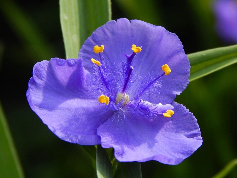 Photograph by Ирина Самойленко